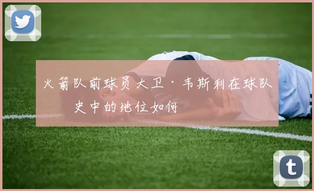 火箭队前球员大卫·韦斯利在球队历史中的地位如何