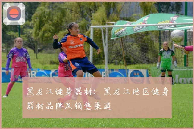 黑龙江健身器材：黑龙江地区健身器材品牌及销售渠道